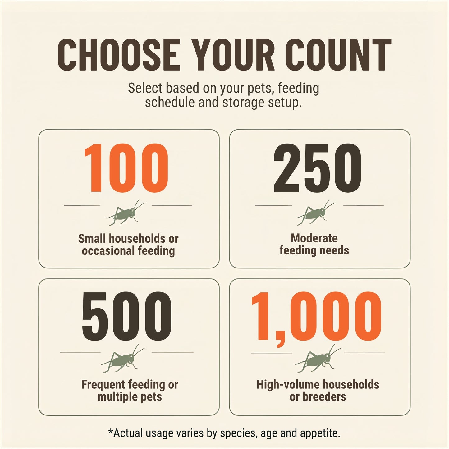 Live Banded Crickets Feeder Insects